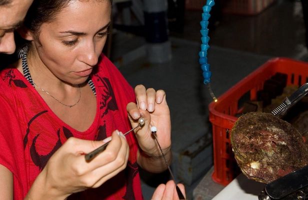 Seawater pearl farm guided tour in Lombok