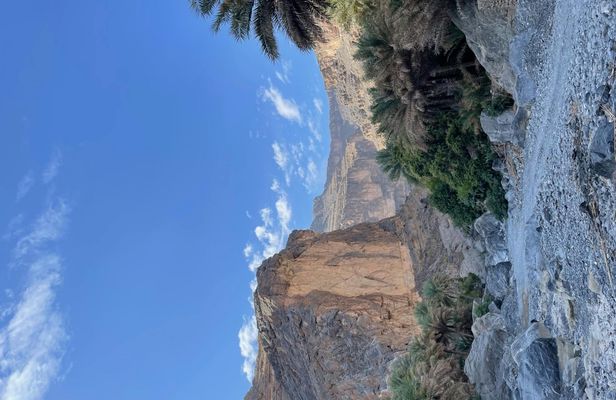 Private day tour to Wadi Nakhar, villages and oasis