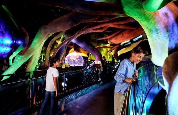 Expo City Attraction Pass