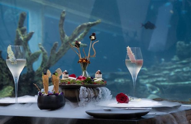 Lunch Experience at Koral Apurva Kempinski
