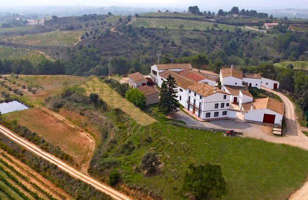 Guided tour to a winery with wine tasting from Barcelona