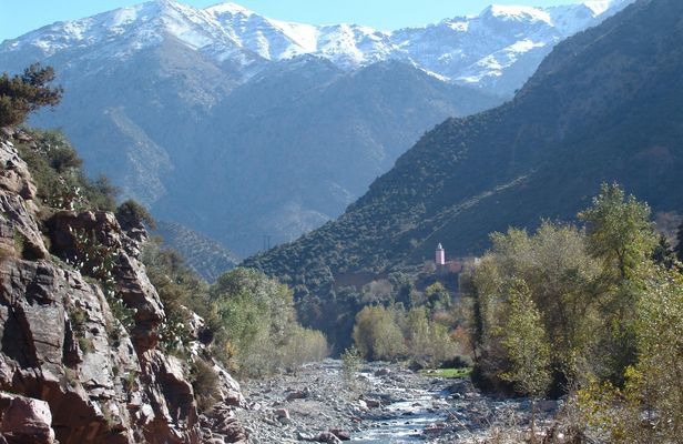 Medina and Ourika Valley Guided Tour with Lunch from Marrakech