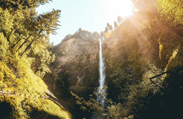 Columbia Gorge Waterfalls Botanical Discovery Hike
