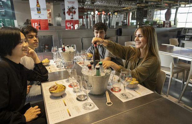 Estrella Damm brewery guided tour with tasting