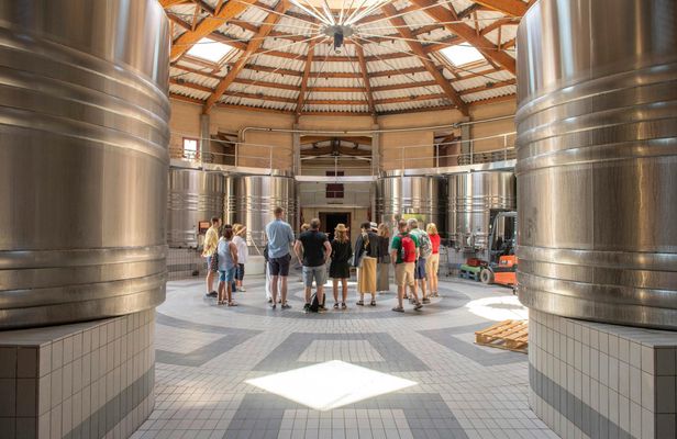 Chateaux and Terroirs Guided Tour on the Bordeaux Wine Roads