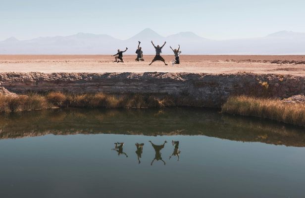 Cejar and Tebenquiche Lagoons guided tour