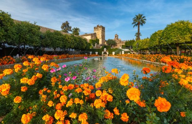 Guided tour of the Jewish Quarter and the Alcázar de los Reyes Cristianos