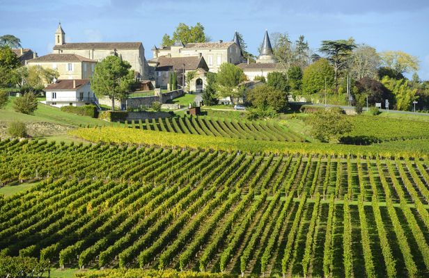 Grand cru Chateau and Saint Emilion village half-day guided tour