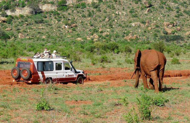 Tsavo East Safari with Overnight Stay at Ashnil Aruba Lodge