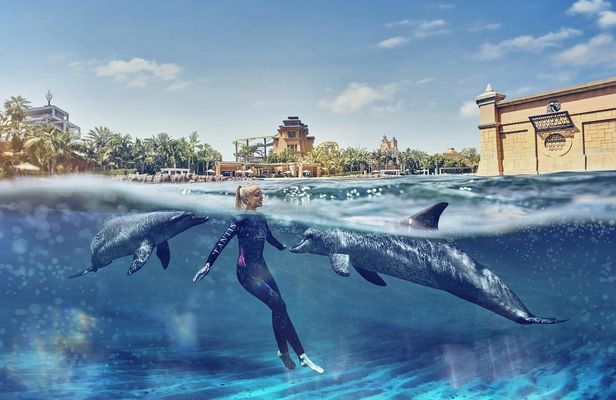 Dolphin Swim at Atlantis Dubai