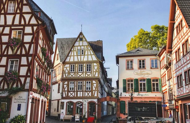 Mainz Guided Tour from Frankfurt by Train