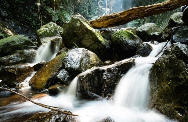 Ng Tung Chai Waterfalls Hiking Tour