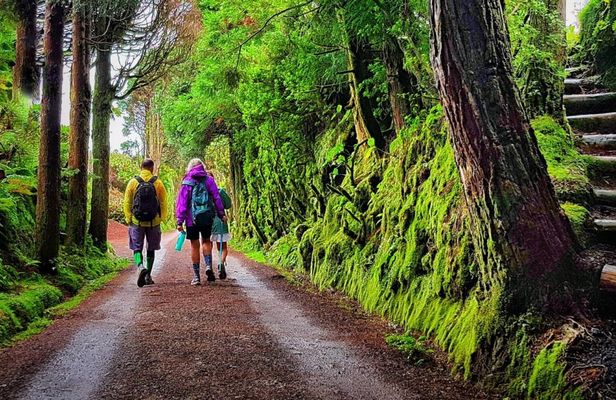 Sete Cidades Full-Day Hiking Experience