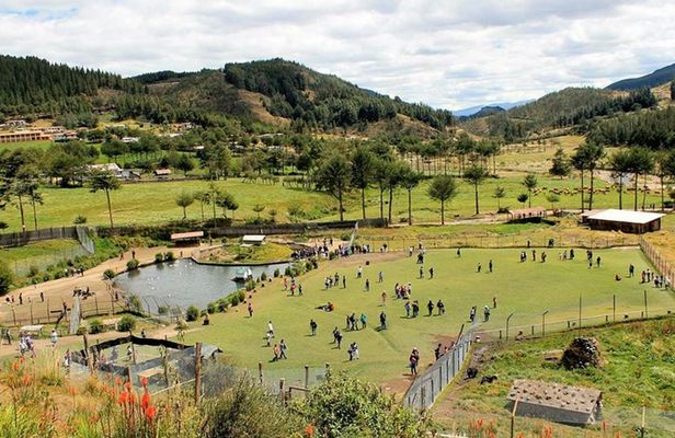 Guided tour to Porcon Farm