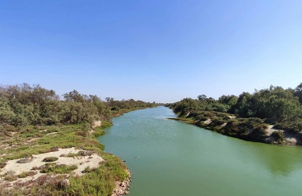 Full-Day Souss-Massa National Park in a 4x4 with Authentic Lunch