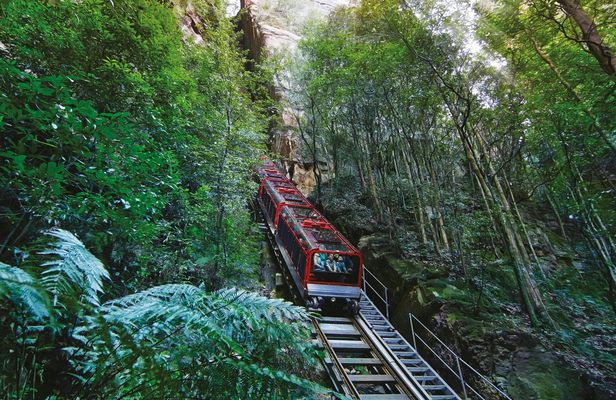 Blue Mountains guided tour with Sydney Zoo and Scenic World visit