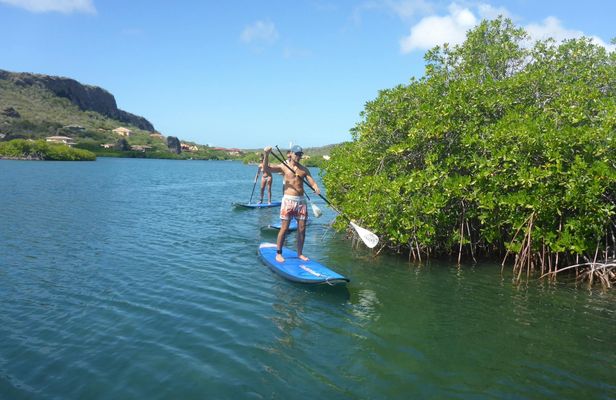 Stand up paddle guided tour