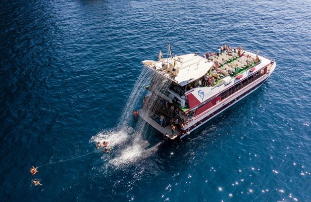 Two-hour Royal Delfín whale-watching cruise in Tenerife