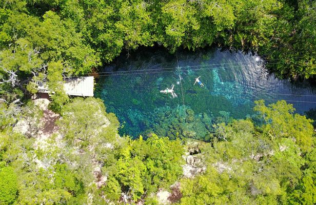 Cenotes and Swimming with Turtles Private Tour