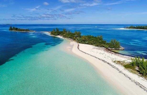 Green Turtle Cay, Pigs Island and Rose Island Tour