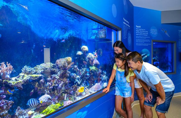 Marine Discovery and Interpretive Centre