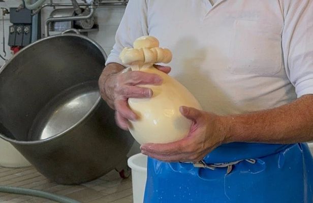 Visit to Masseria Cappella with Mozzarella and Bread Making Workshop