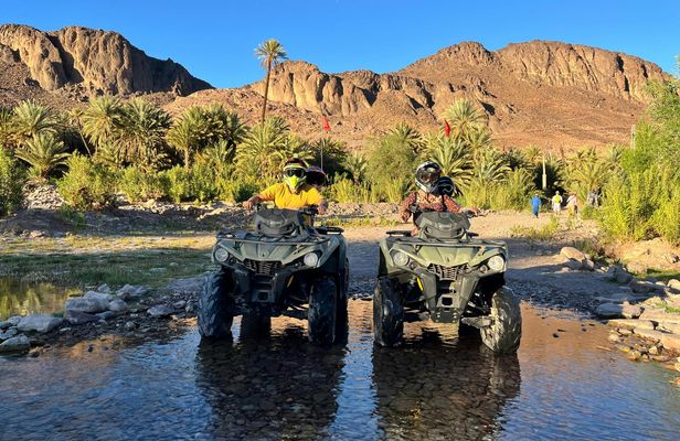 Quad Adventure with Taghazout and Berber Farm Visit