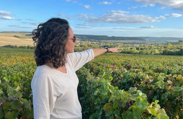 Wine Day Trip to Sancerre from Paris with Tastings and Lunch