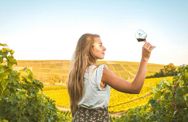 Sancerre Private Wine Day Tour from Paris with Tastings and Lunch