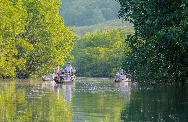 Koh Chang Mangrove Forest Gondola Tour