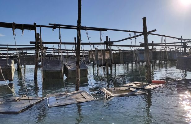 Sustainable Aquaculture Boat Tour in Chioggia's Lagoon