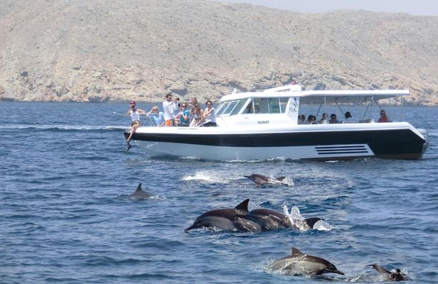 Dolphin Watching Tour in Salalah