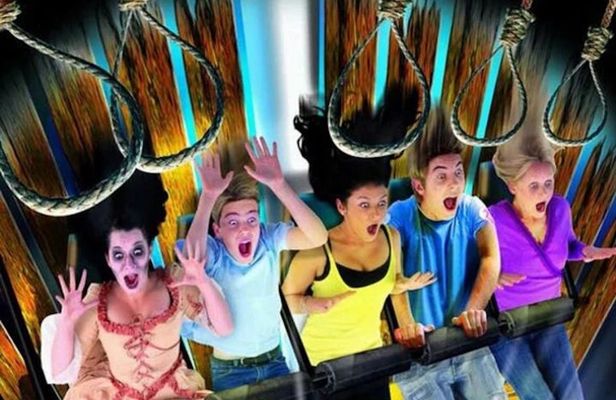 Harry Potter Walking Guided Tour with Thames Cruise and London Dungeon