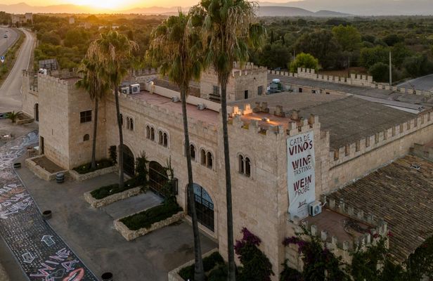 Private bodega tour with wine tasting and tapas in Algaida