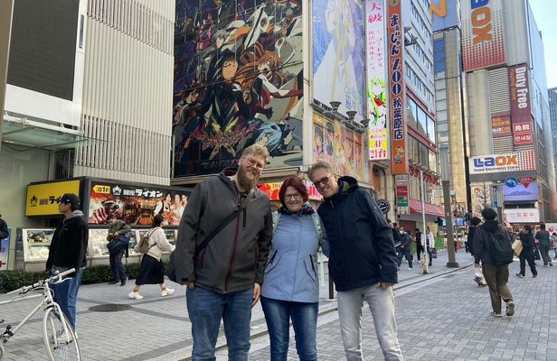 Akihabara Electric Town Adventure with an Expert Guide
