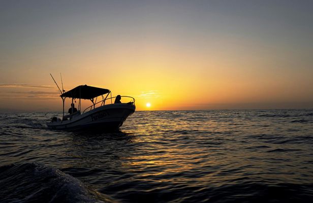 Early Morning Boat Tour in Huatulco with Marine Life Sightings