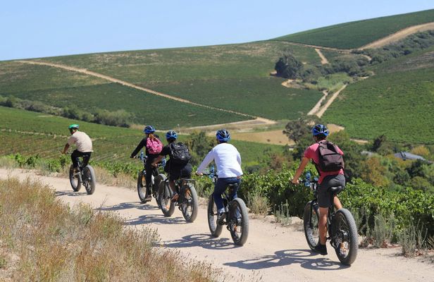 E-Bike Cape Winelands Full Day Tour from Cape Town