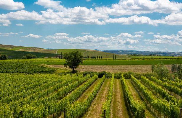 Monteriggioni and Val d'Orcia Medieval Day Trip with Optional Tastings