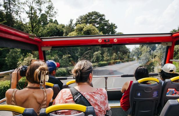 Florence hop-on hop-off bus tour - 24, 48, 72-hour tickets