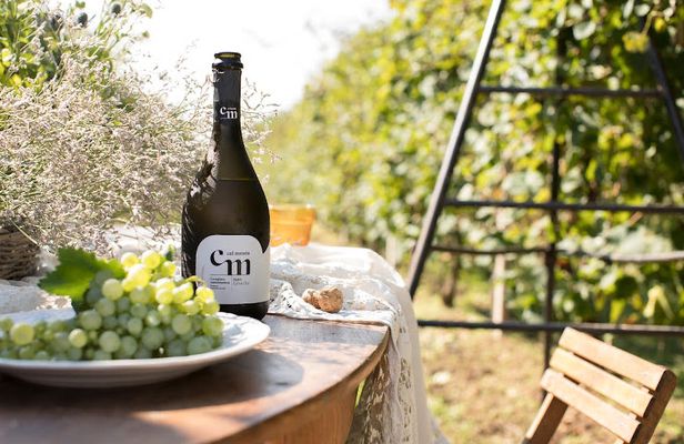 Wine Tasting Tour in Prosecco Hills in Veneto