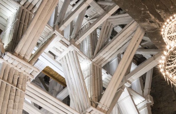 Auschwitz-Birkenau and Wieliczka Salt Mine Guided Tour from selected Meeting Point