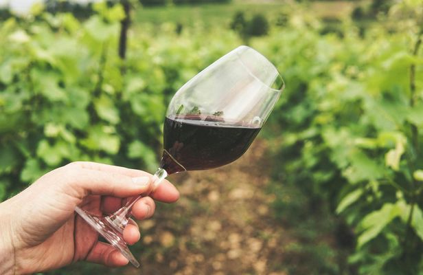 Wineries Guided Tour and Wine Tasting from Kavala with Transportation