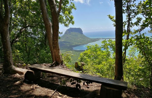 Mauritius Nature Eco-Tour with Ebony Forest Visit