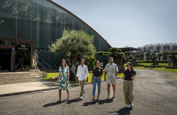 Winery Experience with Tastings and Setúbal Tour from Lisbon