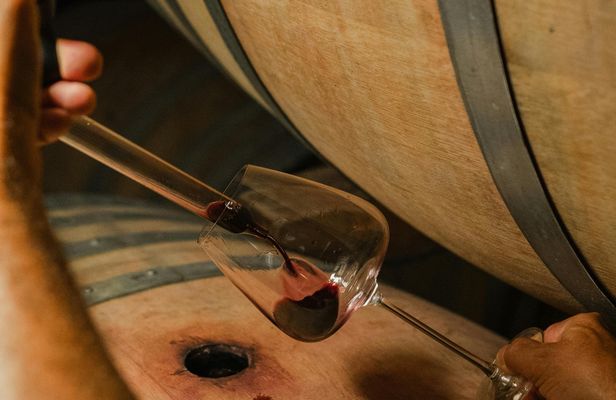 Backstage Brunello and Gourmet Wine-Food Tasting in Montalcino