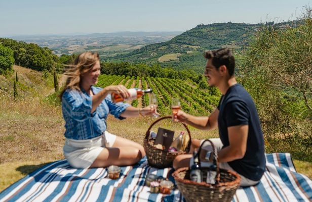 Picnic With a Bottle of Wine in Montalcino With Optional Wine Tour