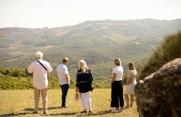 Guided Wine Tour with Tasting in Montalcino