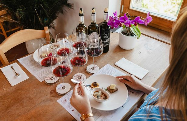 Guided Winery Tour and Gourmet Tasting in Montalcino