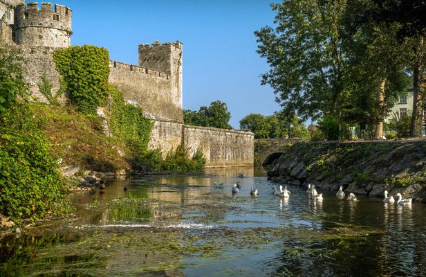 Blarney, Rock of Cashel and Cahir Castles Tour from Dublin