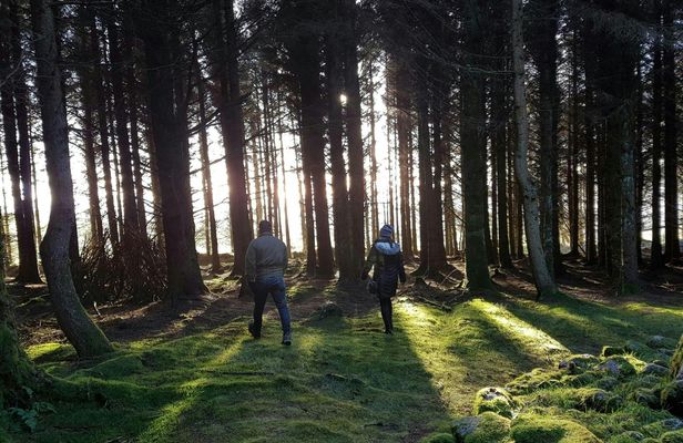 Trails and Tombs tour in the Dublin mountains